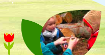waldkindergarten2