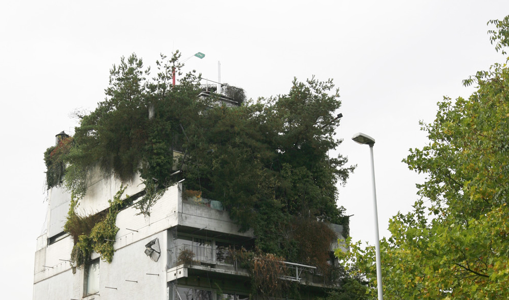 haus_ausschnitt