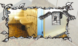 Toiletten-Quartett I Ausgabe 14-5