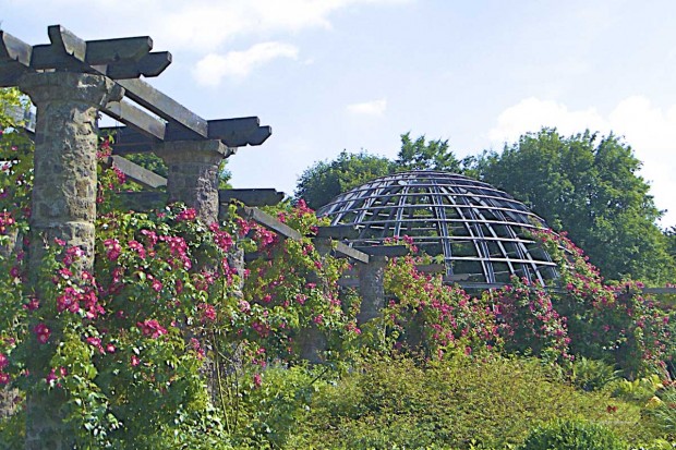 Foto: Förderverein Park Rosenhöhe