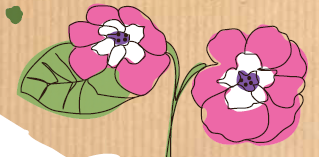 Illustration: Lisa Zeißler