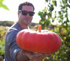 UrbanGardening