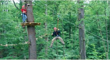 Kletterwald