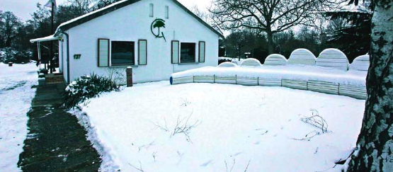 Waldkunst