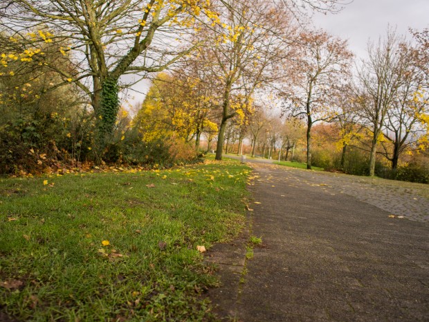 Foto:Jan Ehlers