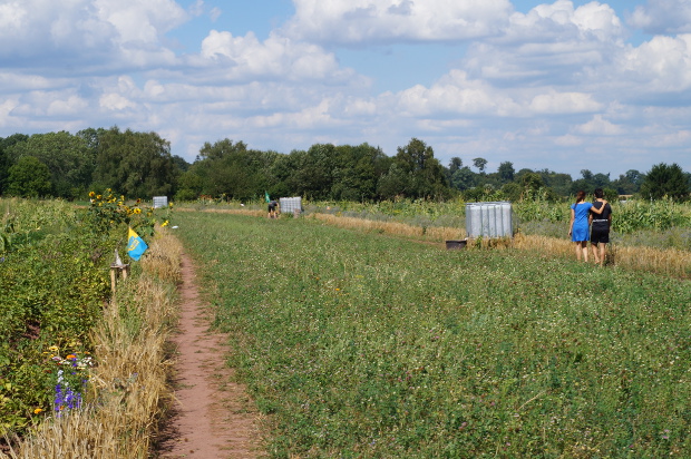 Foto: Anna Zdiara