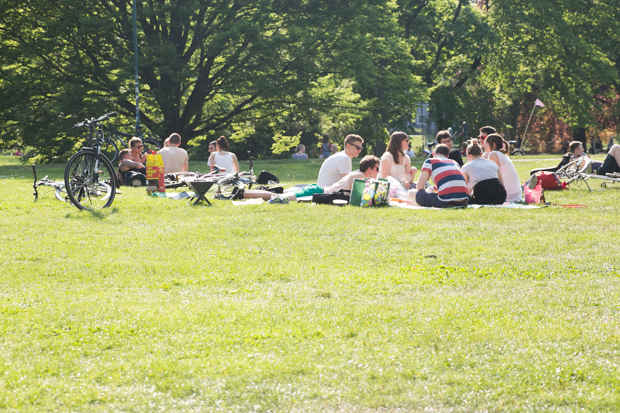 parks plaetze 0B7229