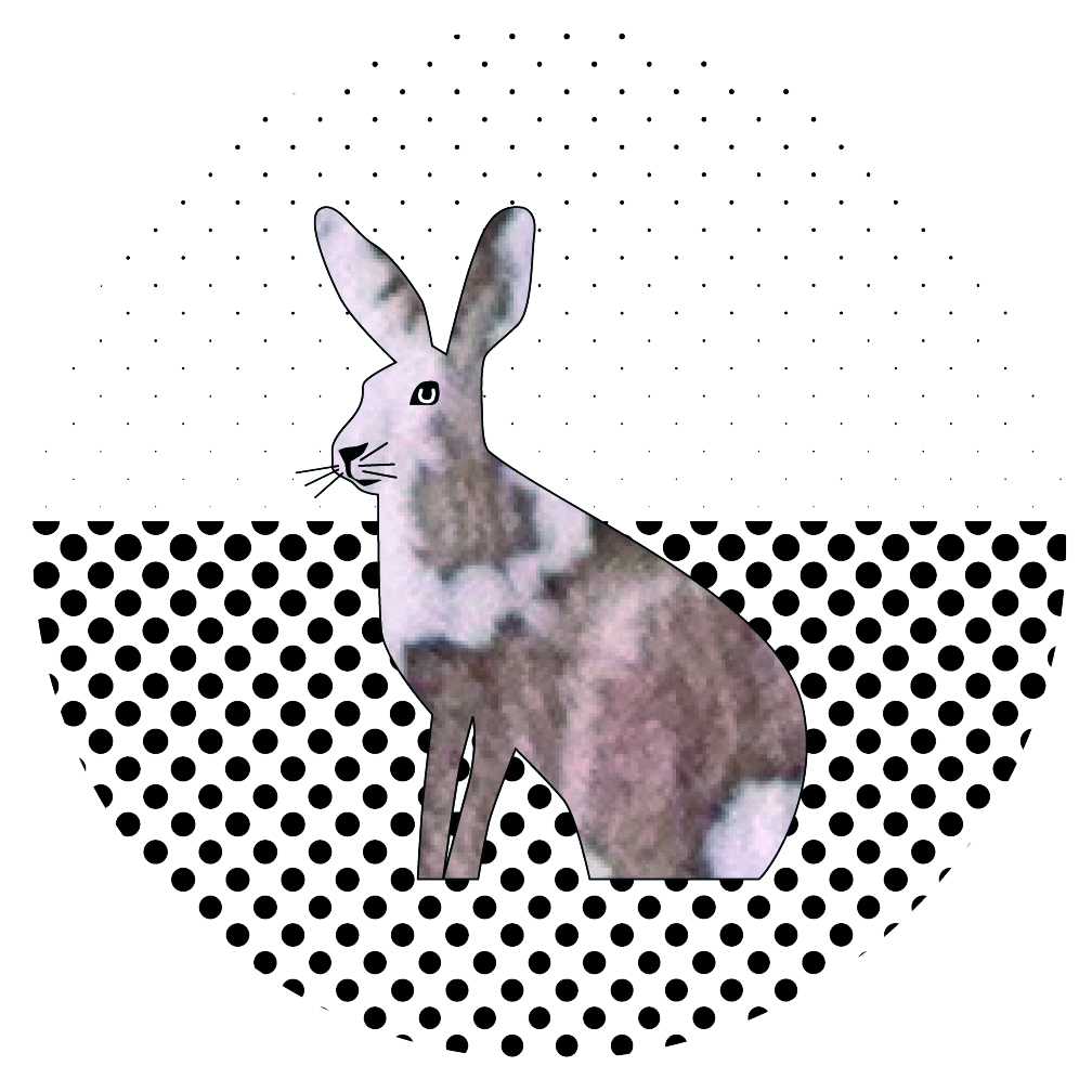 Illustration: Lisa Knickel