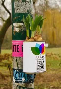 Foto: Urban Garden Darmstadt