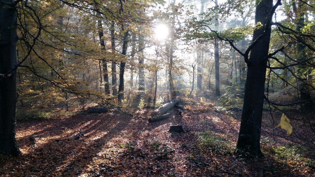 laufend_80_1