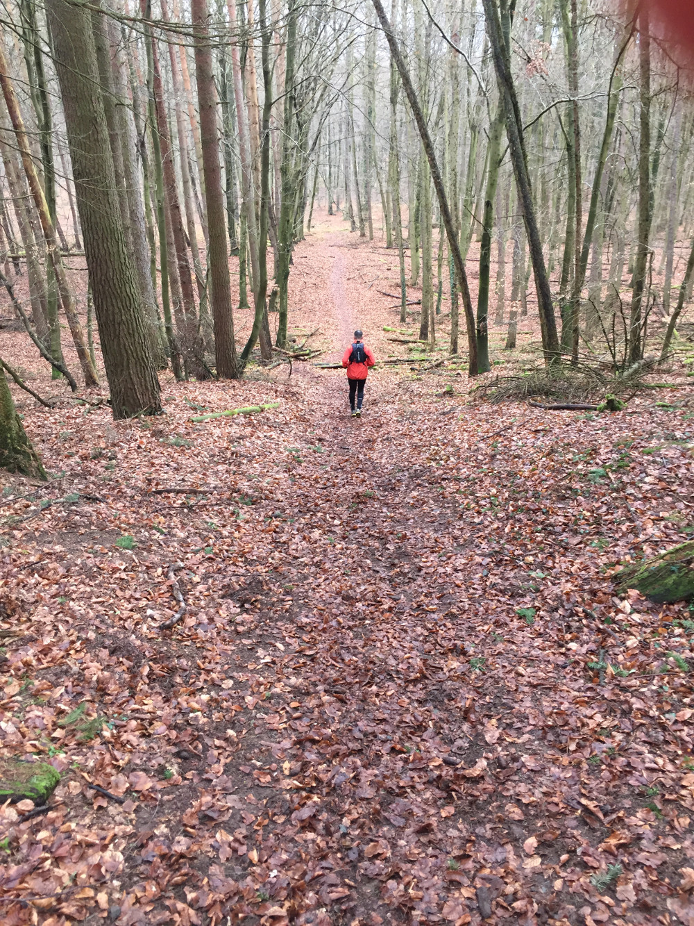 laufend_83_3