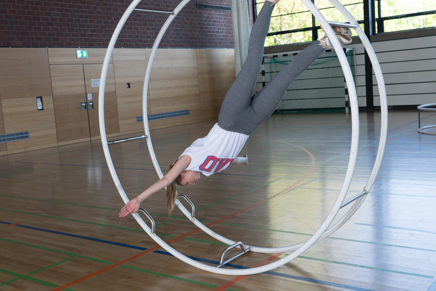 rhoenrad_85_3