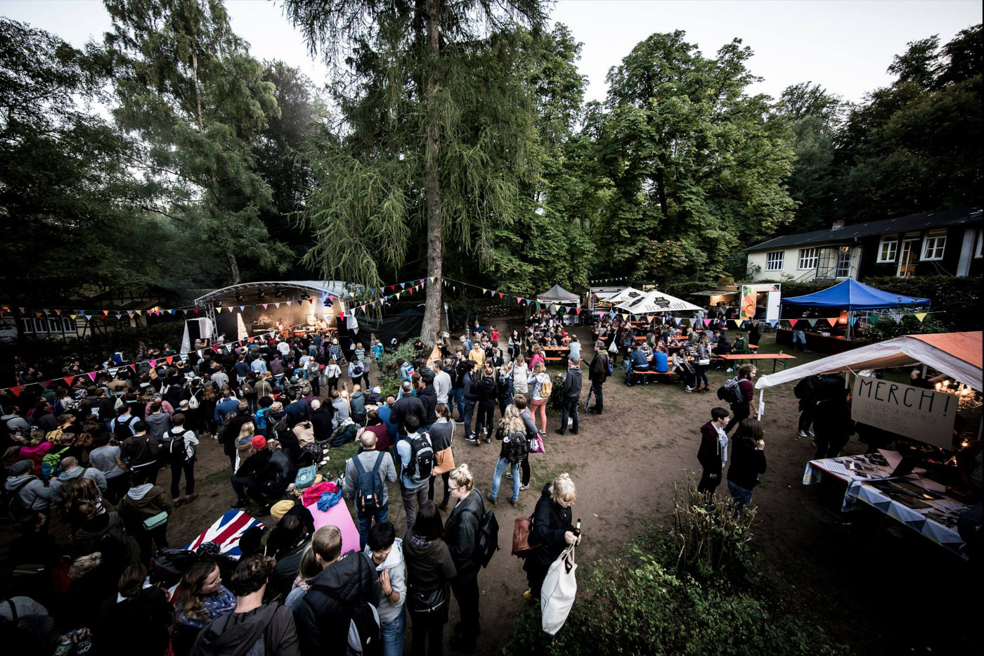 interview_87_golden leaves festival_3