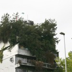 besonders … ökologisch