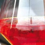 Der Drink „Spritz”