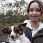 Tierheim Darmstadt: Herrchen und Frauchen gesucht