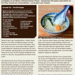 Tom Kha Suppe