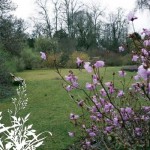 Der Botanische Garten der TU Darmstadt: Ein Date im Regenwald