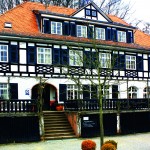 Das Hofgut und die Burgruine Rodenstein