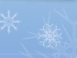Schöne P-Scherung! – Gewinnspiel Weihnachten 2011