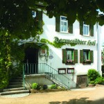 Darmstädter Hof („Zum Schaller“)