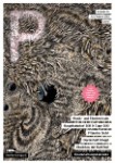 Ausgabe 46 (Juli/August 2012)