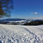 Die Kuralpe