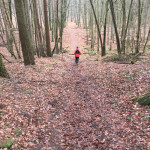 Jogging-Guide, Folge 8: Mit „Marathon Man“ Jörg Drechsler auf dem Ostwald-Trail