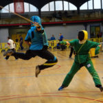 Canne de Combat