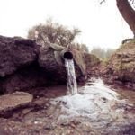 Das Wasserquartett