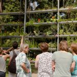 Essbares Darmstadt – Unsere Stadt als „grünes Wohnzimmer“