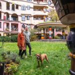 In der Waldspirale