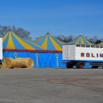 Zirkus ohne Manege