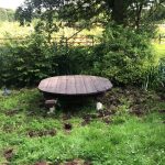 Die vier Freunde im einsamen Wald