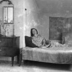 Paula Ludwig: Der Reichtum der Blumenwiesen