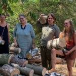 20 Jahre Internationaler Waldkunstpfad: Wald im Wandel