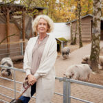 Überfüllte Tierheime: „Viele Menschen sind überfordert“