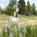 Feldblume Tanja Knösel